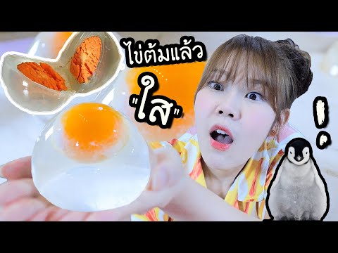 ไข่เพนกวิ้น!-ต้มแล้ว-ใส-จริง-- ไข่เพนกวิ้น!-ต้มแล้ว-ใส-จริง--