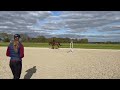 Show jumping horse Talentvolle 4-jarige merrie v. Grandorado TN