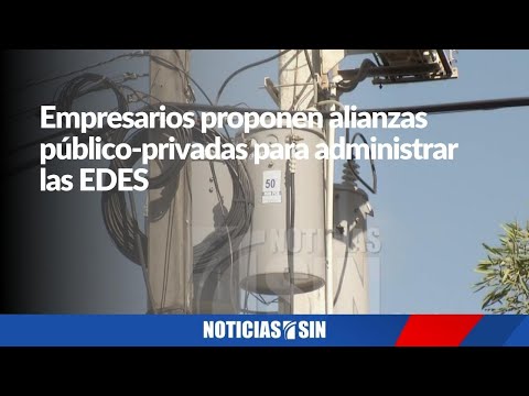 Proponen alianzas público-privadas para administrar EDES