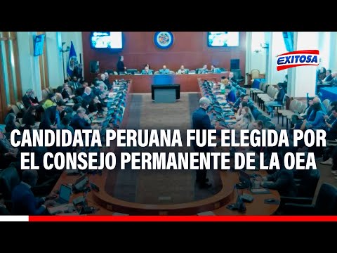 Candidata peruana fue elegida por el Consejo Permanente de la OEA como Experta Alterna