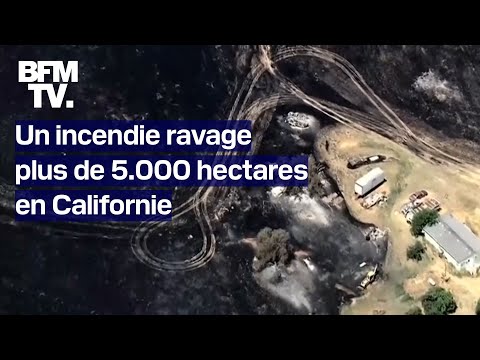 La Californie ravagée par les flammes, 5.000 hectares déjà partis en fumée