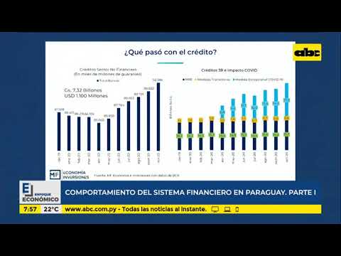 Enfoque Económico: comportamiento del sistema financiero en Paraguay, parte 1