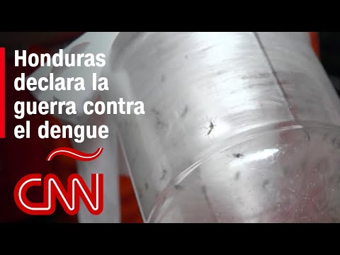 Honduras declara la guerra contra el dengue