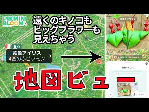 地図ビュー機能が追加！超絶便利！だけど心配なことも……【ピクミンブルーム/PikminBloom】