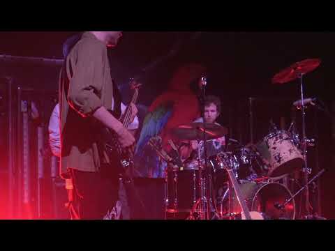 Alex G - Kicker