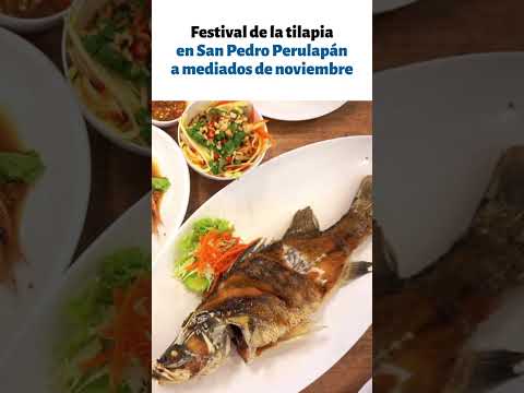 10 festivales gastronómicos en El Salvador