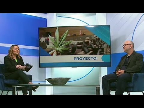 Gobierno busca regular la ley de cáñamo y cannabis
