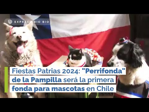 Fiestas Patrias 2024: Perrifonda de la Pampilla será la primera fonda para mascotas en Chile