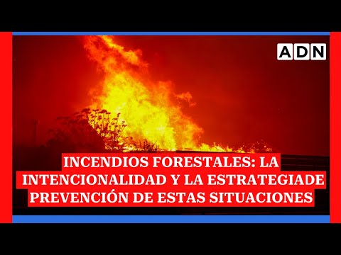 Incendios forestales: La intencionalidad y la estrategia de prevención de estas situaciones