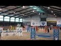 Show jumping horse Super ervaren Allround springpaard