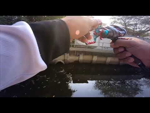 Short-skipping-moment-clip-Fis Short-skipping-moment-clip-Fis