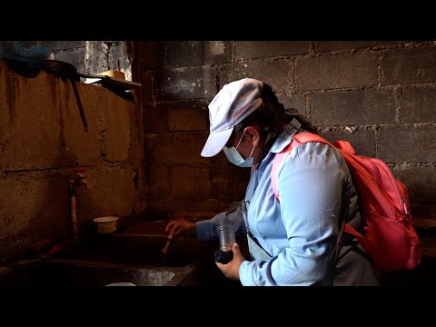 Brigadistas aplican BTI casa a casa en los barrios de Managua