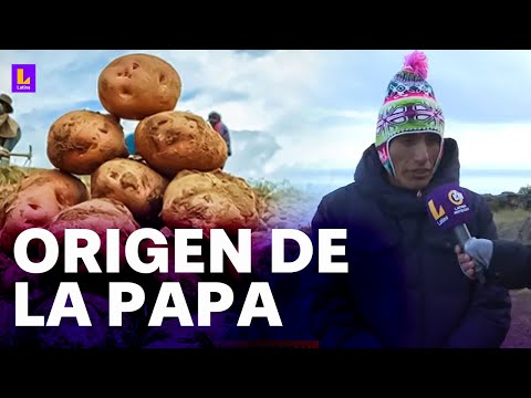 Documental presenta el origen de la papa: Estamos grabando en varias partes del Perú