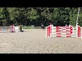 Show jumping horse Lieve Allround ruin