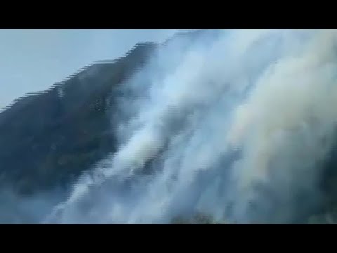 Entregan informe sobre los incendios forestales en Bolivia