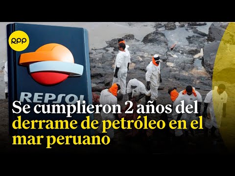 Derrame de petróleo de Repsol: El Estado no impuso un sistema ordenado, señaló Daniel Olivares