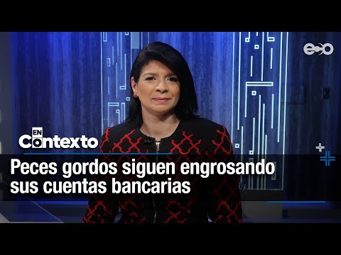Angélica Maytín: diputados tienen imperios y nadie los investiga | En Contexto