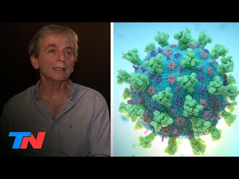 Coronavirus | ¿La esperanza de una vacuna está más cerca Geffner: Es factible: es un horizonte