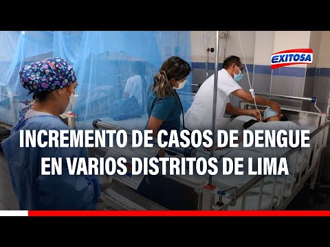 Se registra un incremento de casos de dengue en varios distritos de Lima