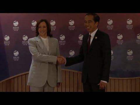 US Vice President Kamala Harris hlds bilat with Widodo on sidelines of ASEAN Summit in Jakarta