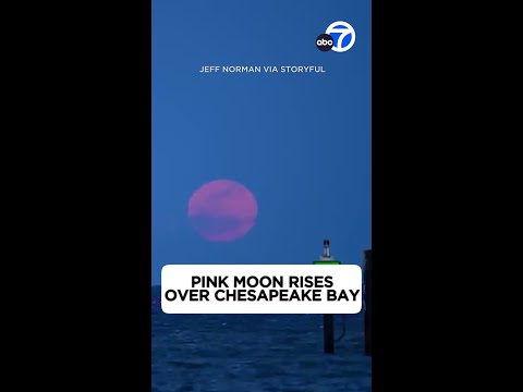 Pink Moon rises over Chesapeake Bay