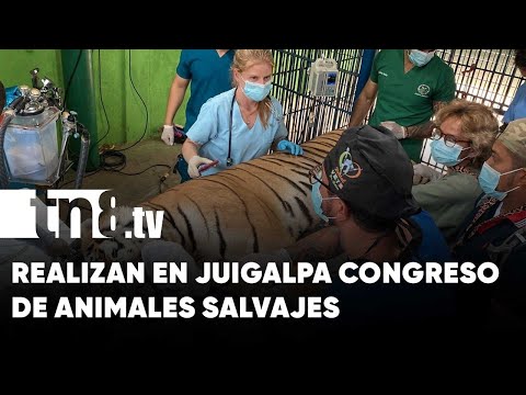 Realizan en Juigalpa el Congreso Internacional de Animales Salvajes y Exóticos - Nicaragua