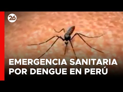 PERÚ | La situación del dengue no mejora pese al estado de emergencia sanitaria