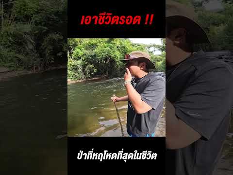 ระทึกใจ!เอาชีวิตรอดในป่าที่หฤ