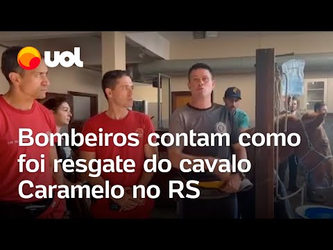 Cavalo Caramelo: Bombeiros de SP detalham resgate de animal em telhado em Canoas (RS); vídeo