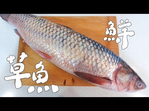 草魚四大家魚之一，河裡的鮮味