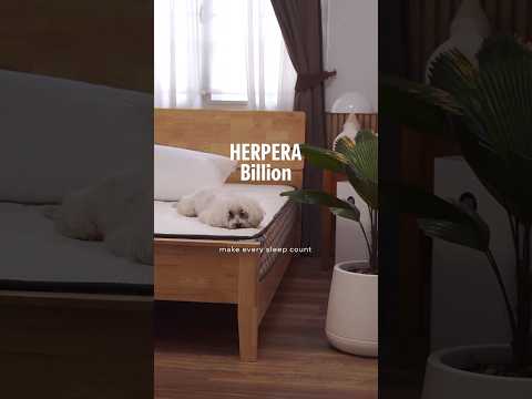 จัดห้องนอนให้น่าอยู่กับที่นอน