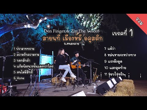 เพลงCoverจากDenFinger&Zin