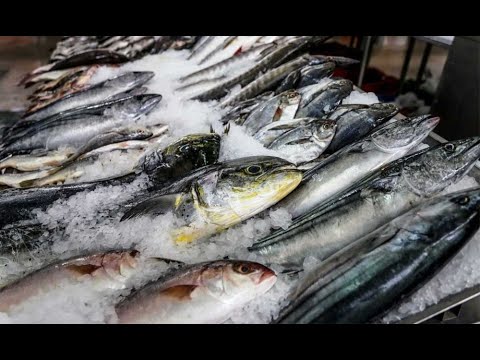 Tips para reconocer si el pescado es fresco