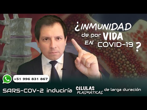 ¿INMUNIDAD DE POR VIDA EN COVID19 SARS-COV-2 INDUCIRÍA CÉLULAS PLASMÁTICAS DE LARGA DURACIÓN
