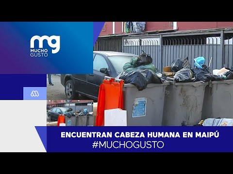 #MuchoGusto / Macabro hallazgo: Encuentran cabeza humana en sector residencial de Maipú