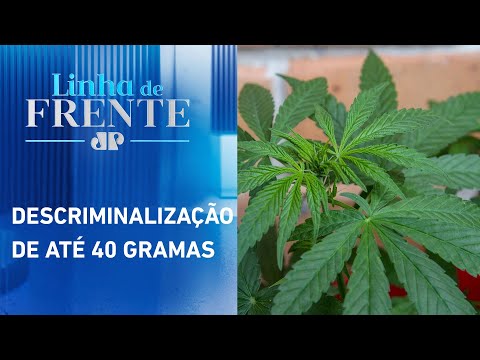 Após decisão do STF, CNJ vai revisar prisões por porte de maconha | LINHA DE FRENTE