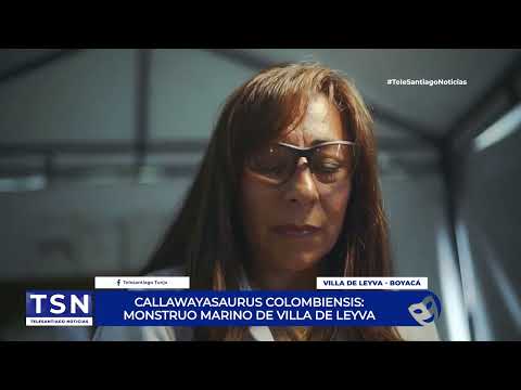 CALLAWAYASAURUS COLOMBIENSIS MONSTRUO MARINO DE VILLA DE LEYVA
