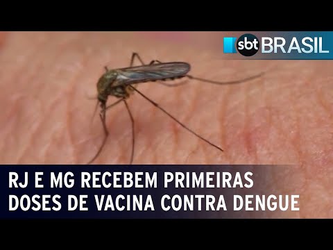 Santa Catarina decreta estado de emergência por causa da dengue | SBT Brasil (22/02/24)