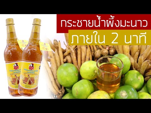 วิธีทำกระชายน้ำผึ้งมะนาว-ภายใน วิธีทำกระชายน้ำผึ้งมะนาว-ภายใน
