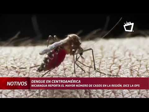 Nicaragua entre los países con más casos de dengue, según OPS