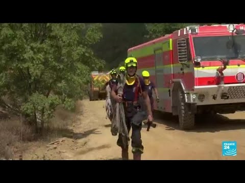 Grèce : onzième jour de lutte contre le plus grand incendie jamais enregistré dans l'UE