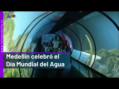 En Medellín se celebró el Día Mundial del Agua con una muestra pedagógica - Telemedellín
