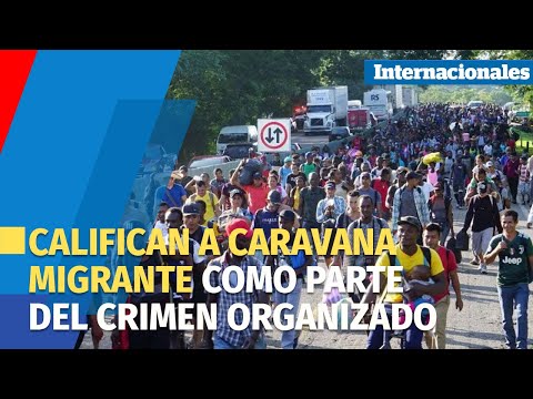 “La caravana es parte del crimen organizado”  Embajador de Estados Unidos ante México