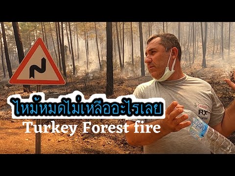 ไฟไหม้ป่าที่หนักที่สุดในตุรกี- ไฟไหม้ป่าที่หนักที่สุดในตุรกี-