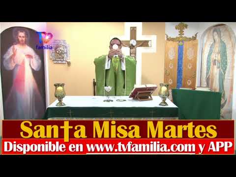 SANTA MISA MARTES 07 ENERO 2025 en https://tvfamilia.com/santa-misa/ en #Misa #SantaMisa #Eucaristia