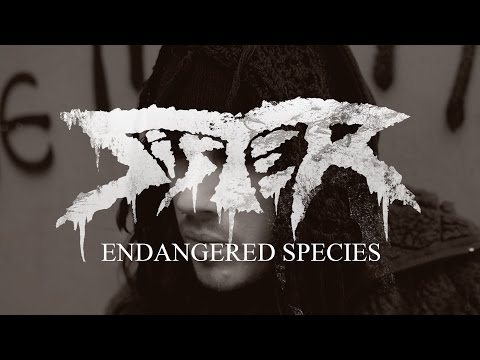 Sister Concert Tickets - 2026 Tour Dates.