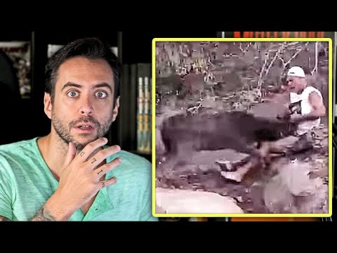 FRANK CUESTA A PUNTO DE MORIR TRAS SER ATACADO BRUTALMENTE POR UN ANIMAL - Jordi reacciona al vídeo