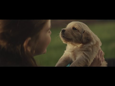 2014 Chevy Commercial - Maddie