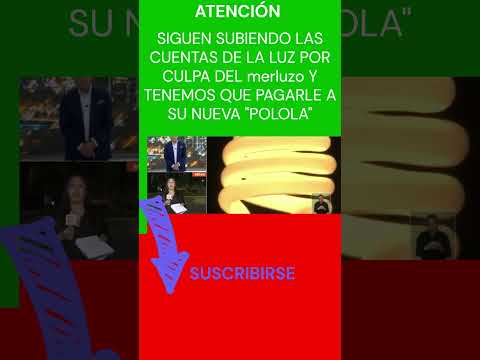 #SIGUE #SUBIENDO LAS #CUENTAS DE LA #LUZ TODO #CHILE PAGA POR #CULPA DEL #merluzo #shorts