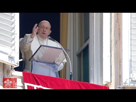 Papa Francisco: No ceder a la lógica de la reivindicación de la guerra por Néstor Pongutá Puerto